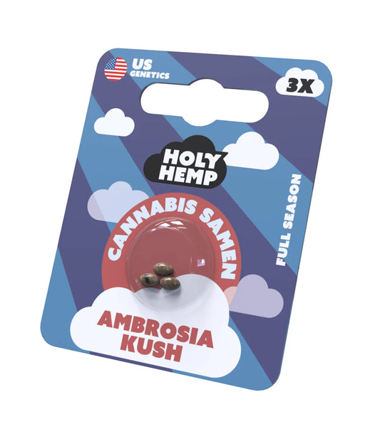 Holy Hemp - Ambrosia Kush - 3 Samen