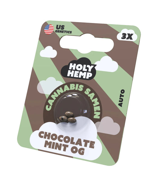 Holy Hemp - Chocolate Mint OG - 3 Samen