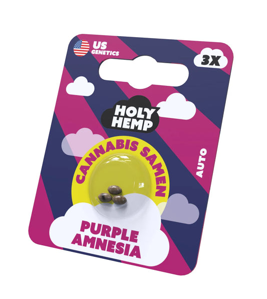Holy Hemp - Purple Amnesia - 3 Samen