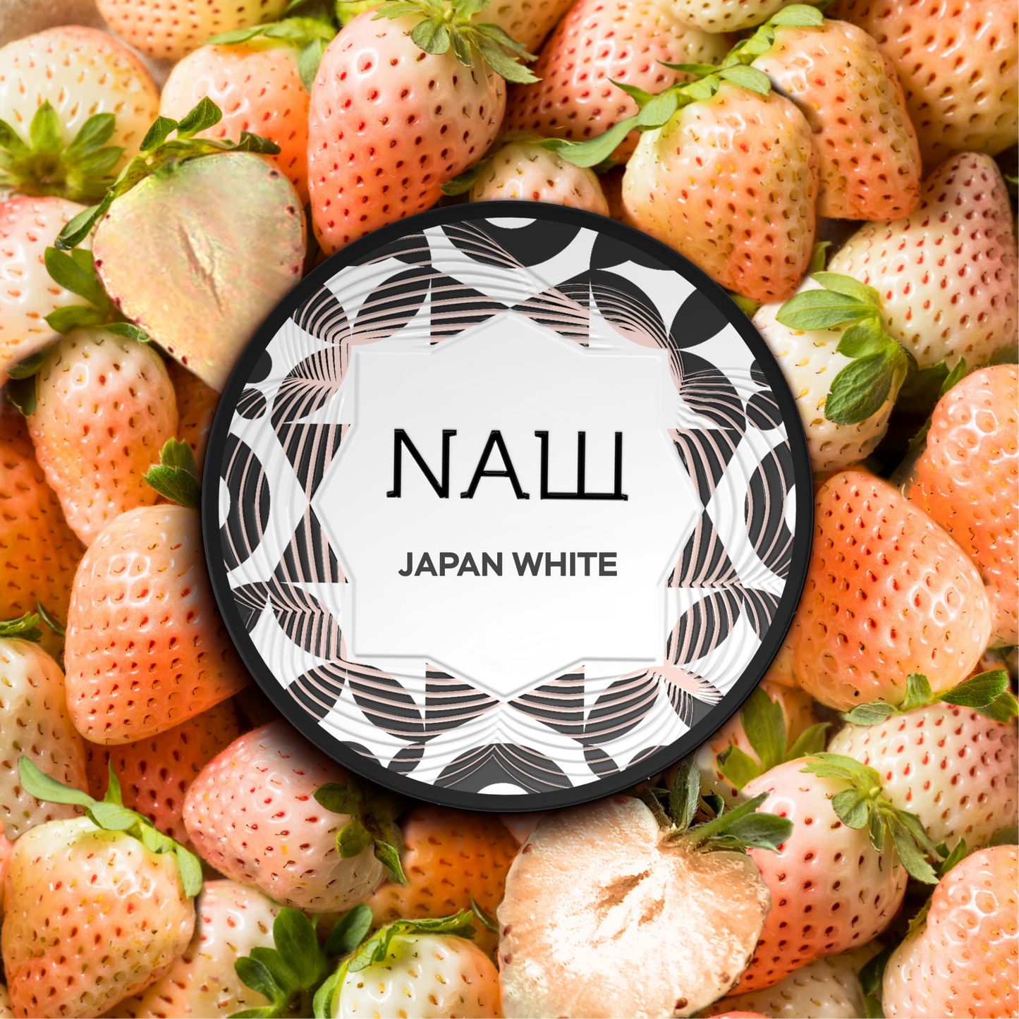 Nasch - Japan White - 25g